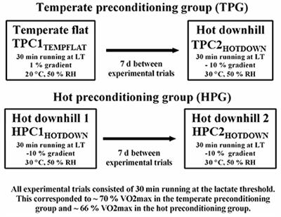 The Hsp72 and Hsp90α mRNA Responses to Hot Downhill Running Are Reduced Following a Prior Bout of Hot Downhill Running, and Occur Concurrently within Leukocytes and the Vastus Lateralis